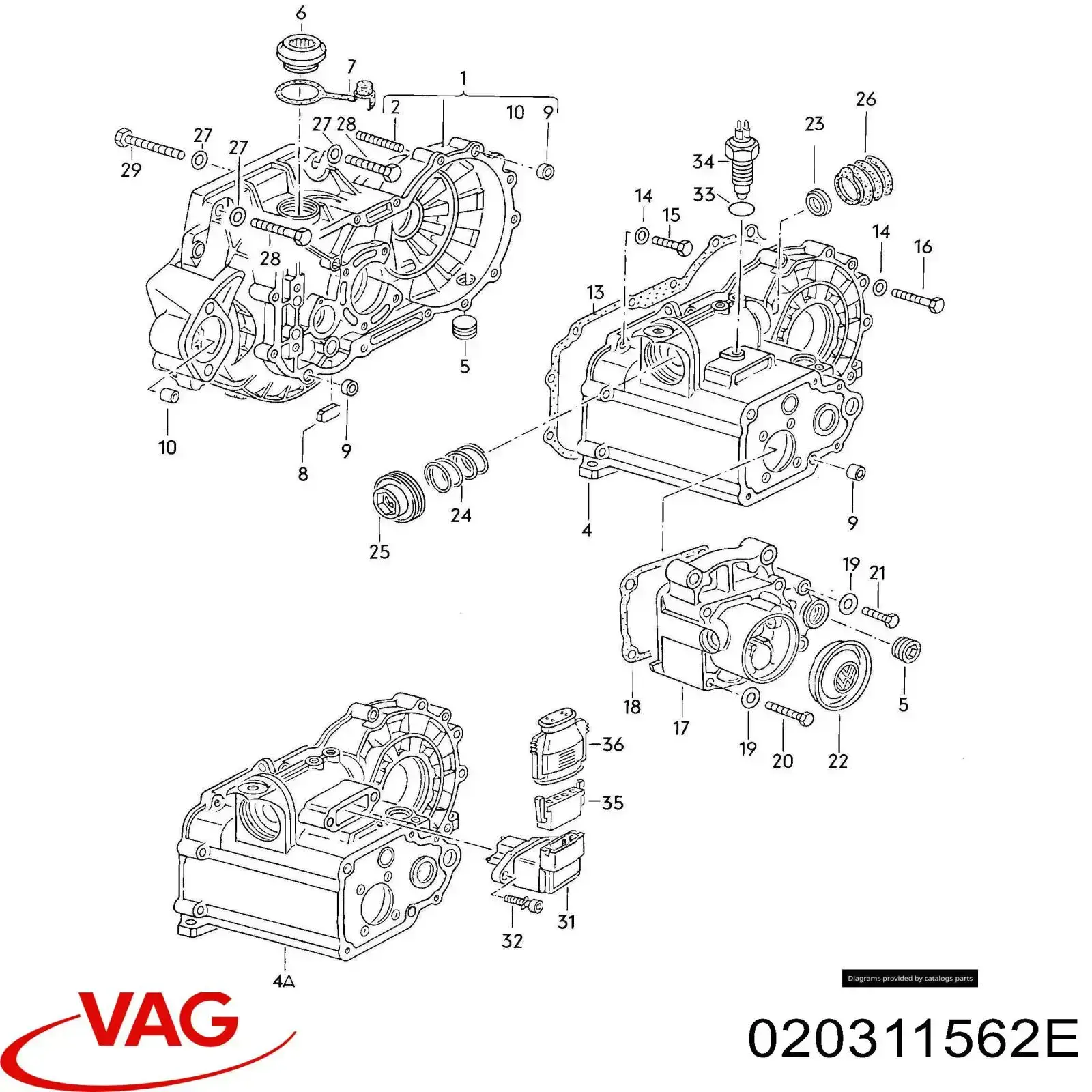 020311562E VAG 
