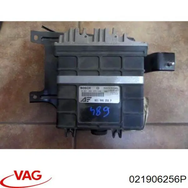 021906256P VAG Блок електронного управління