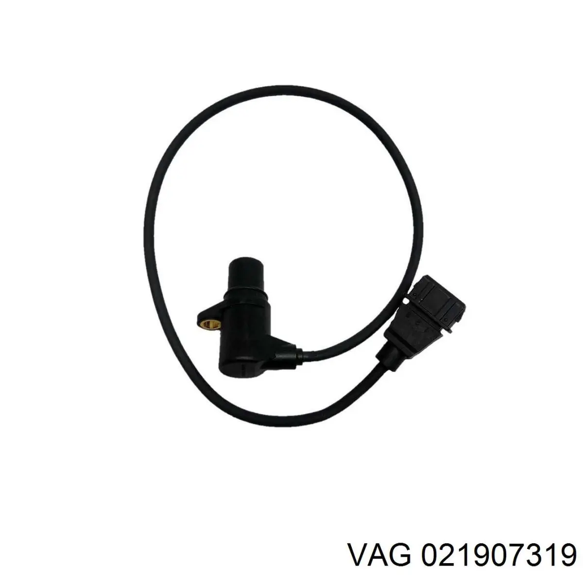 021907319 VAG ДПКВ