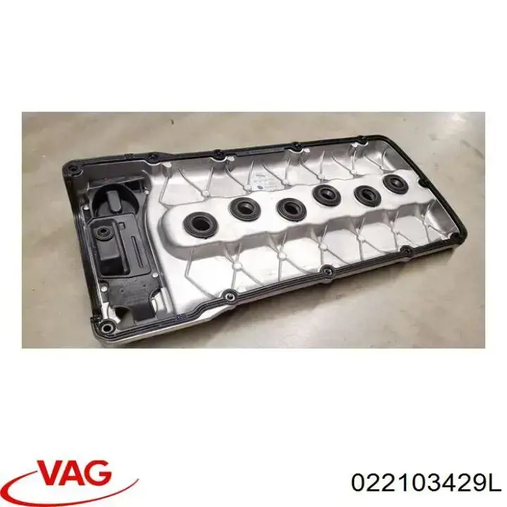 022103429L VAG 