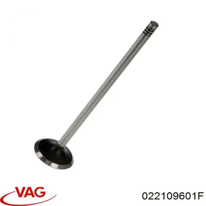 Клапан впускний VAG 022109601F ціна, від 146.05 USD