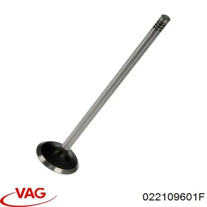 022109601F VAG Клапан впускний