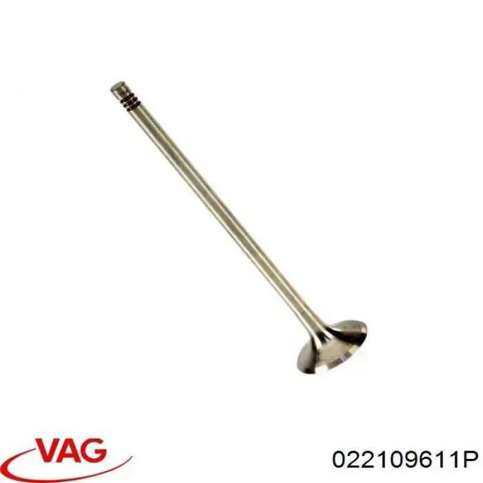 022109611P VAG клапан випускний
