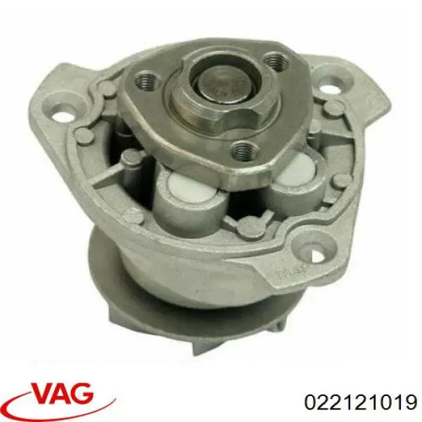 022121019 VAG 
