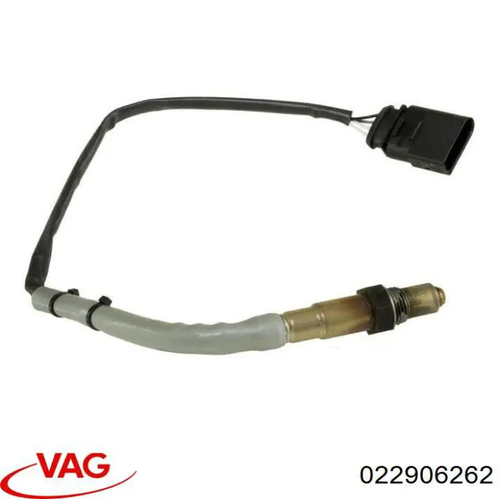  022906262 VAG