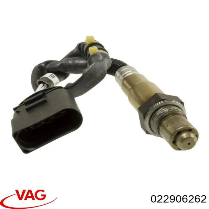 022906262 VAG 
