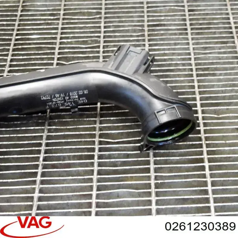  0261230389 VAG