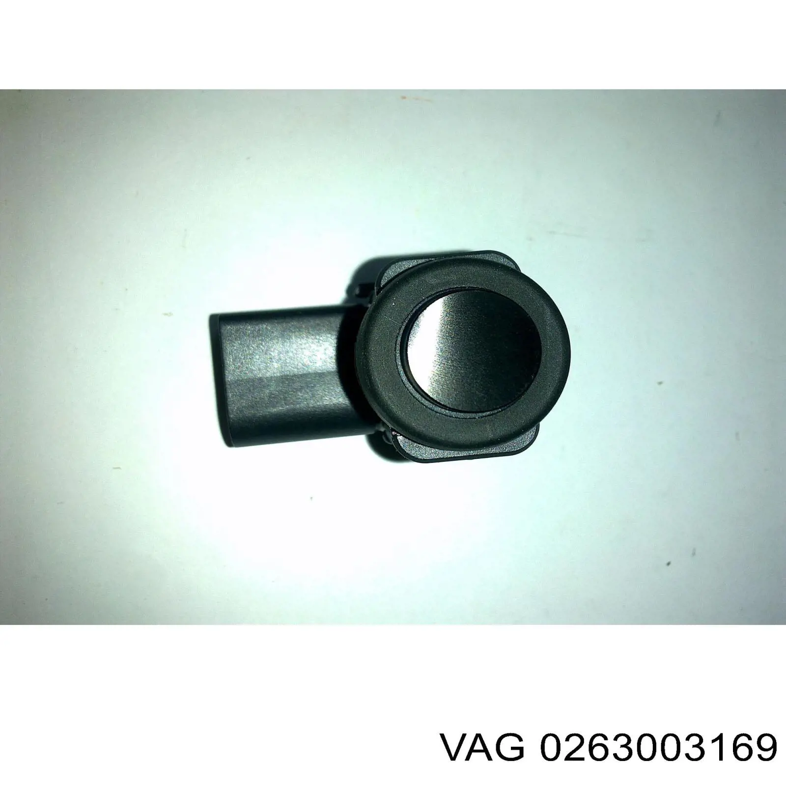  0263003169 VAG