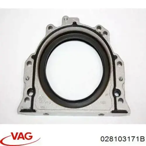 Сальник колінвала задній 028103171B VAG