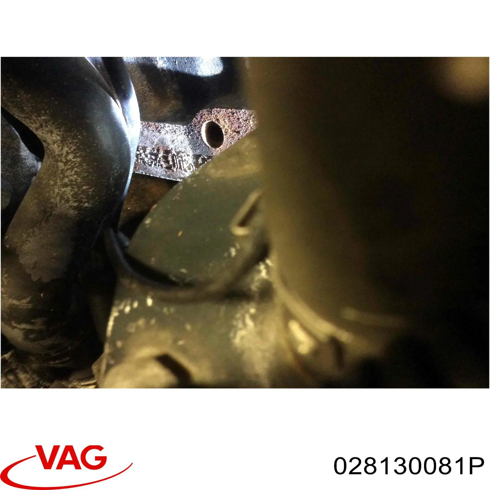  028130081P VAG