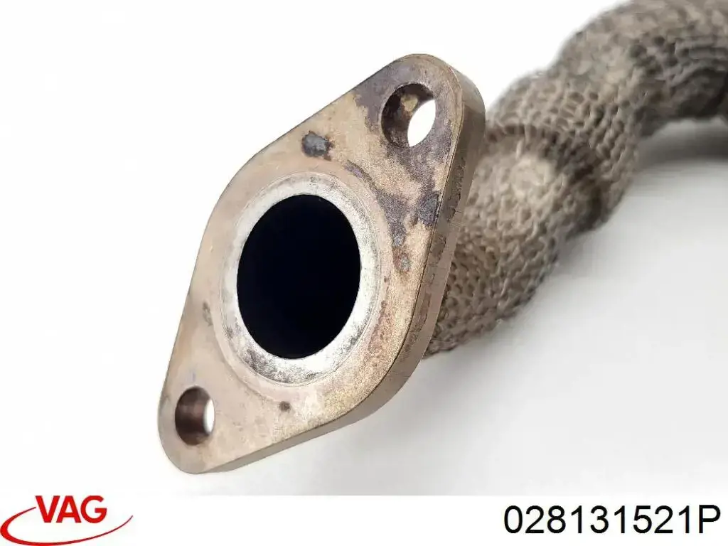  028131521P VAG