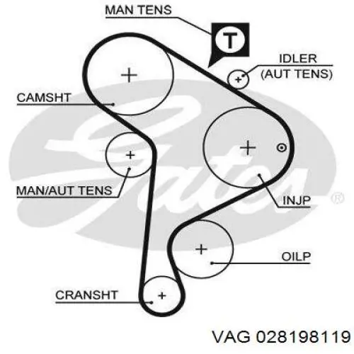 Комплект ГРМ 028198119 VAG