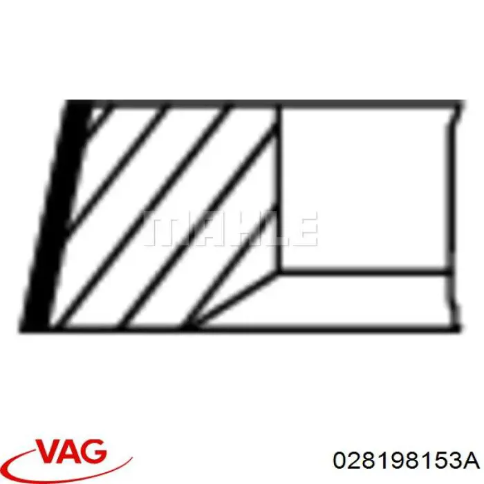 028198153A VAG 