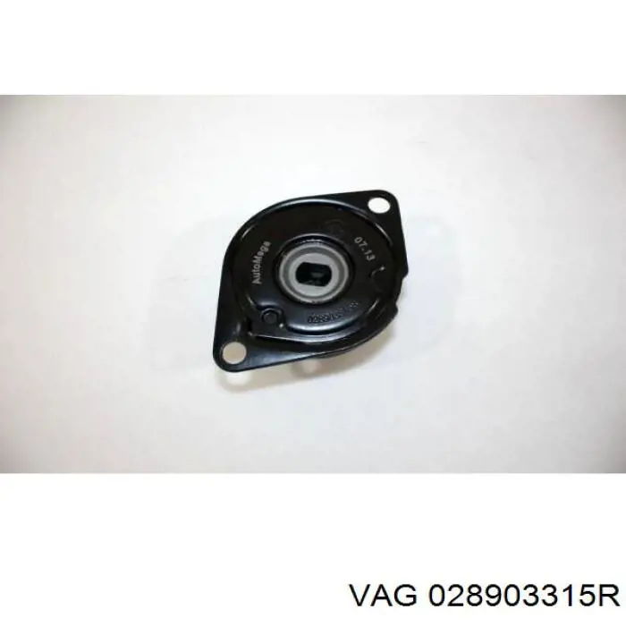 Натягувач приводного ременя VAG 028903315R ціна, від 37.34 USD