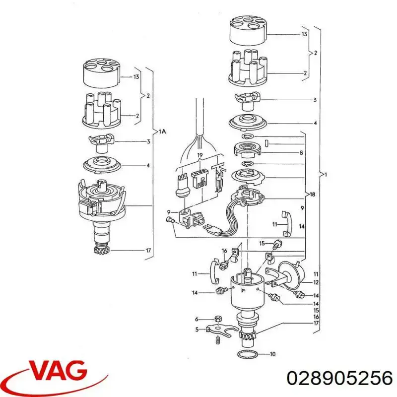 Купити 035905251B VAG 