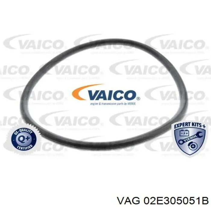 Масло АКПП VAG 02E305051B