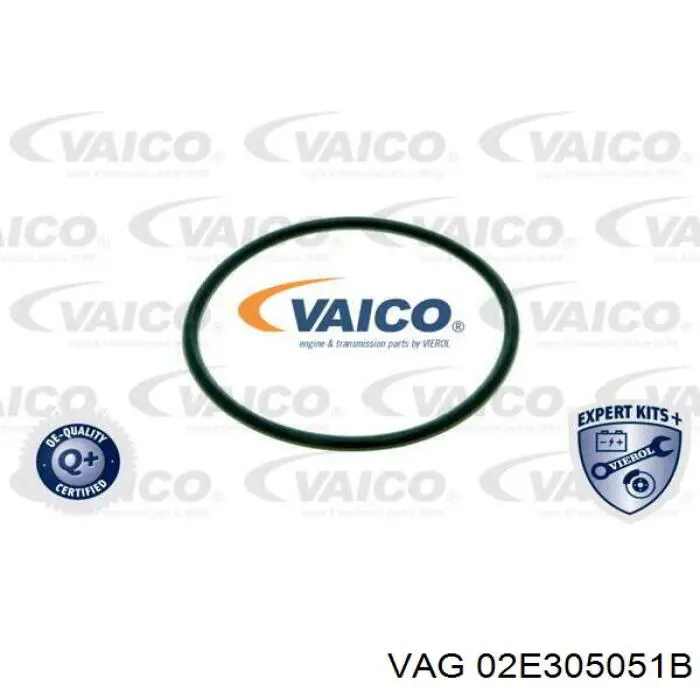 02E305051B VAG Масло в коробку автомат