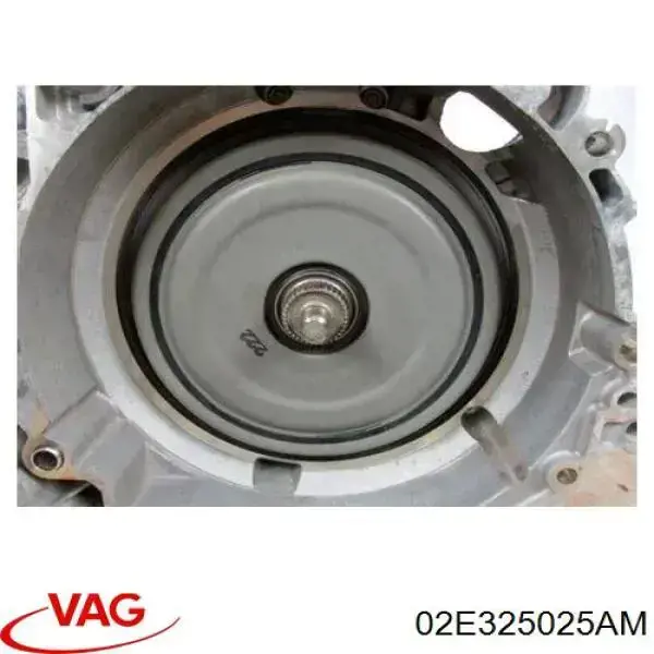 02E325025AM VAG 