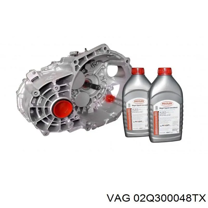 02Q300048T VAG МКПП