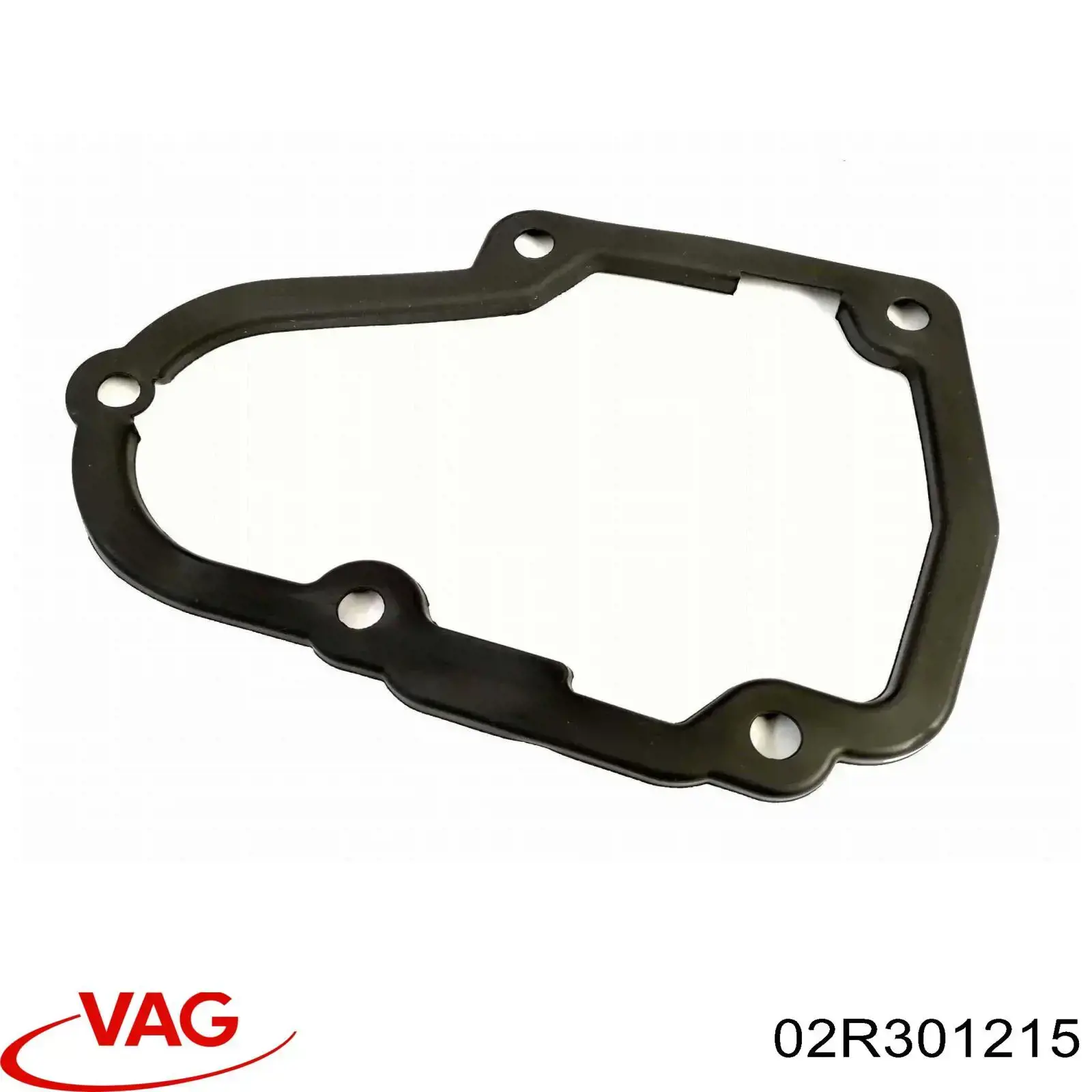 02R301215 VAG 