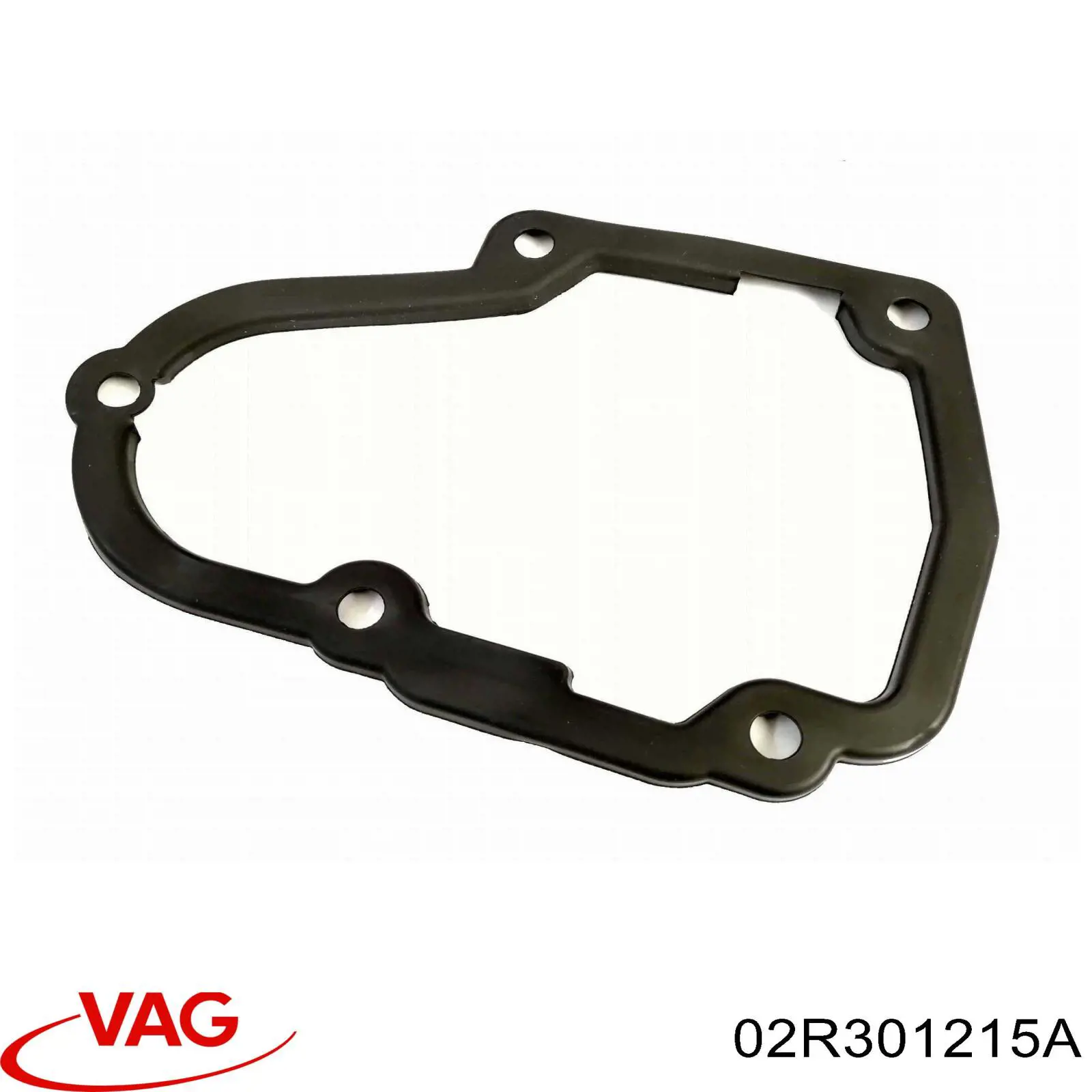 02R301215A VAG 