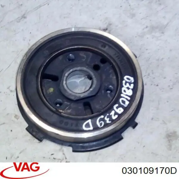 030109170D VAG 