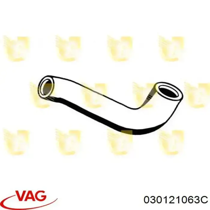 030121063C VAG 