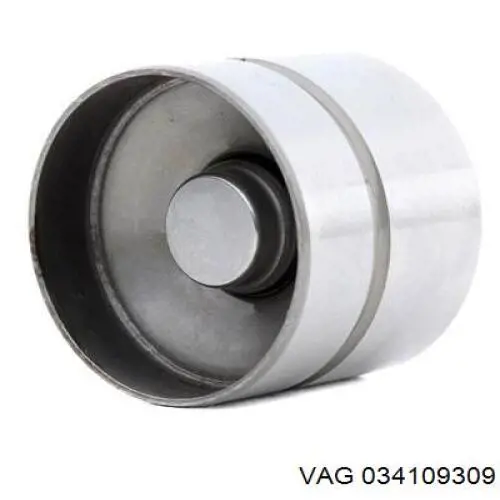 Купити 034109309 VAG Штовхач клапанів двигуна