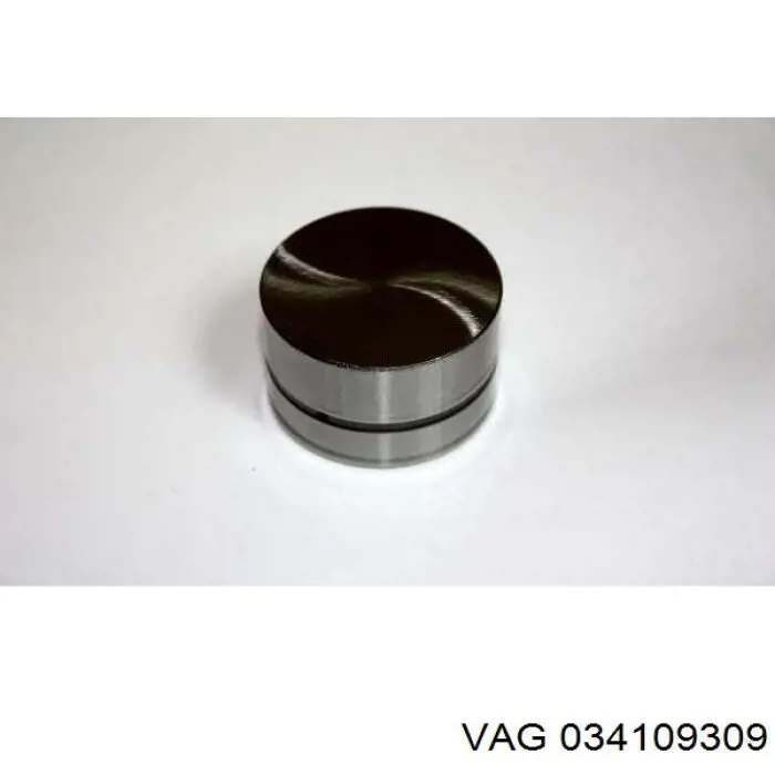 Гідрокомпенсатор 034109309 VAG