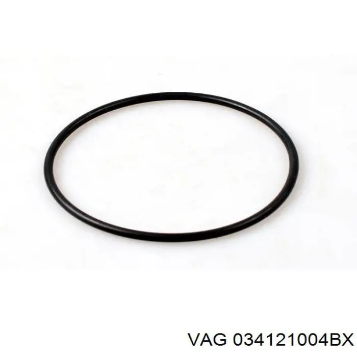 Помпа 034121004BX VAG