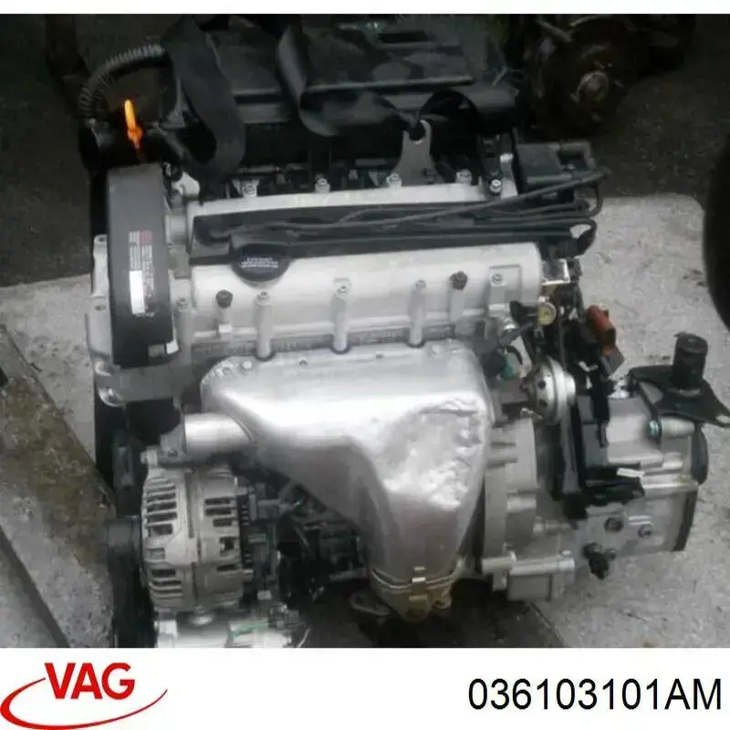 Блок циліндрів VAG 036103101AM ціна, від 84.65 USD