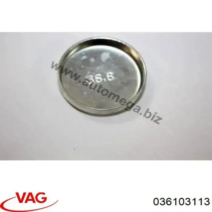 Купити 036103113 VAG Заглушка блоку циліндрів