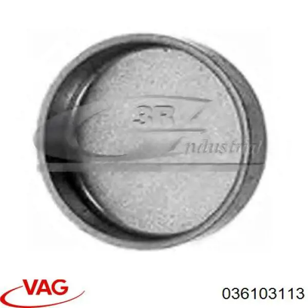 Заглушка ГБЦ/блоку циліндрів VAG 036103113 ціна, від 1.12 USD