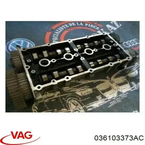036103373AC VAG Головка циліндрів