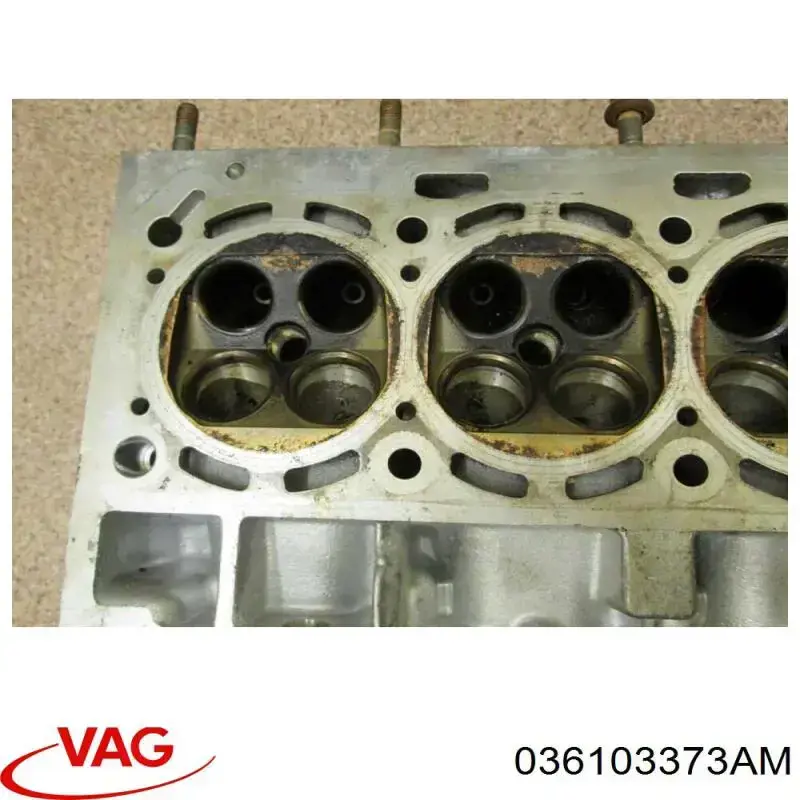 Купити 036103373AM VAG Головка блоку