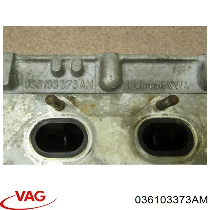 036103373AM VAG Головка циліндрів