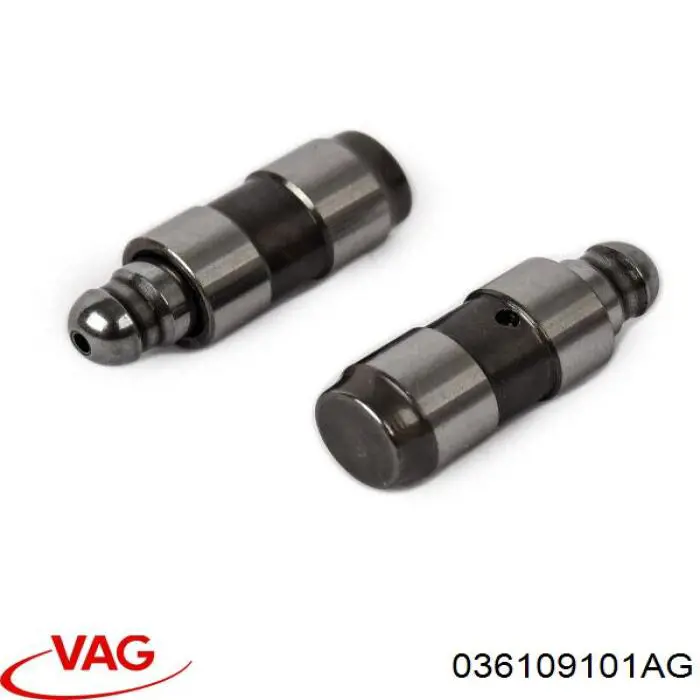 Розподільний вал двигуна випускний VAG 036109101AG ціна, від 48.06 USD