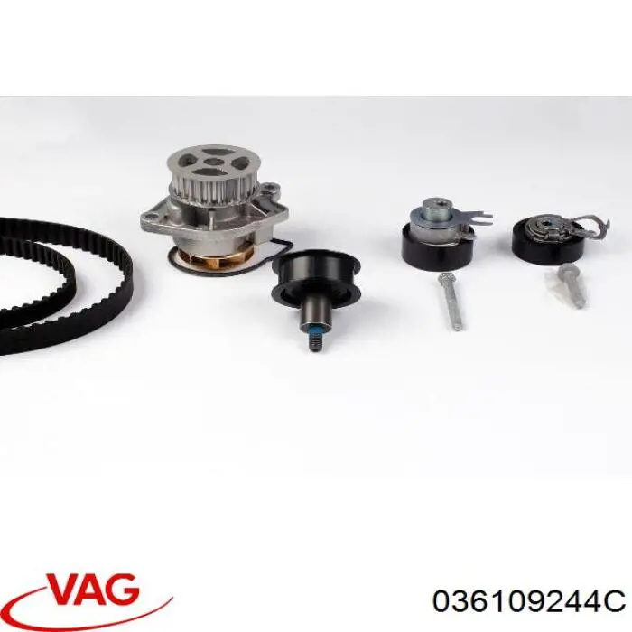 Ролик ременя ГРМ, паразитний VAG 036109244C ціна, від 13.33 USD