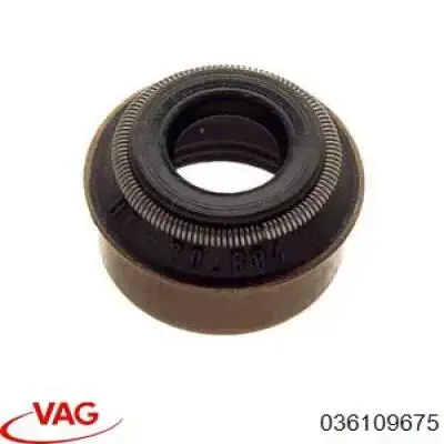 Сальник клапана (маслознімний), впуск/випуск VAG 036109675