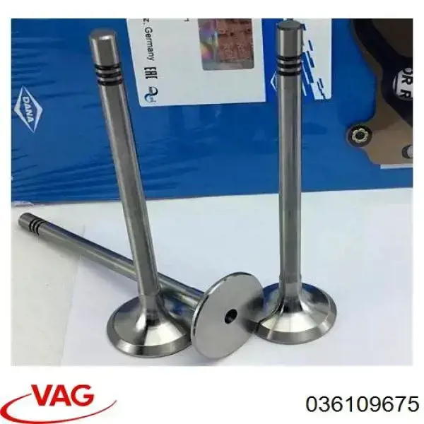 Сальник клапана (маслознімний), впуск/випуск VAG 036109675 ціна, від 0.96 USD