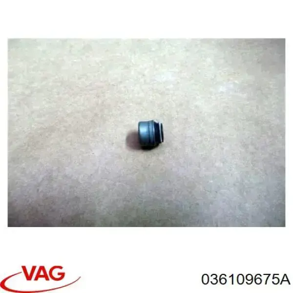 Сальник клапана (маслознімний), впуск/випуск Audi A3 седан (8VS, 8VM) (2013 - 2020) ціна, від 0.43 USD