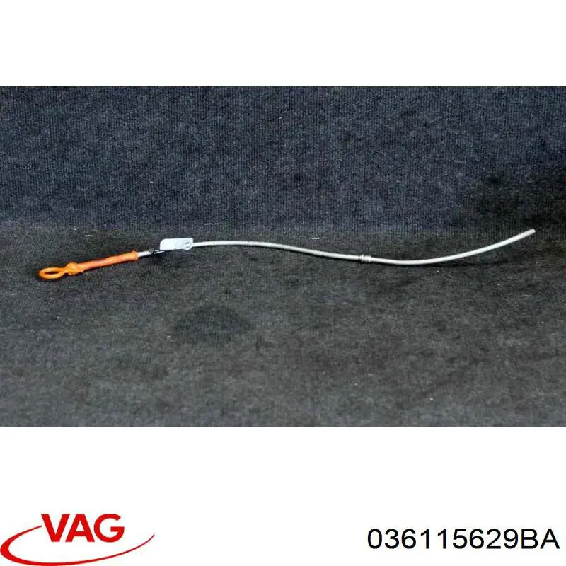 036115629BA VAG 