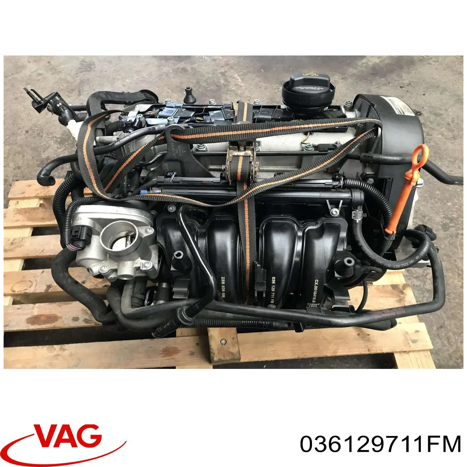 Колектор впускний Seat Ibiza III хетчбек (6L1) (2002 - 2009) ціна, від 33.90 USD