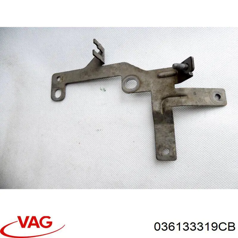 Розподільник палива B19283 Borsehung