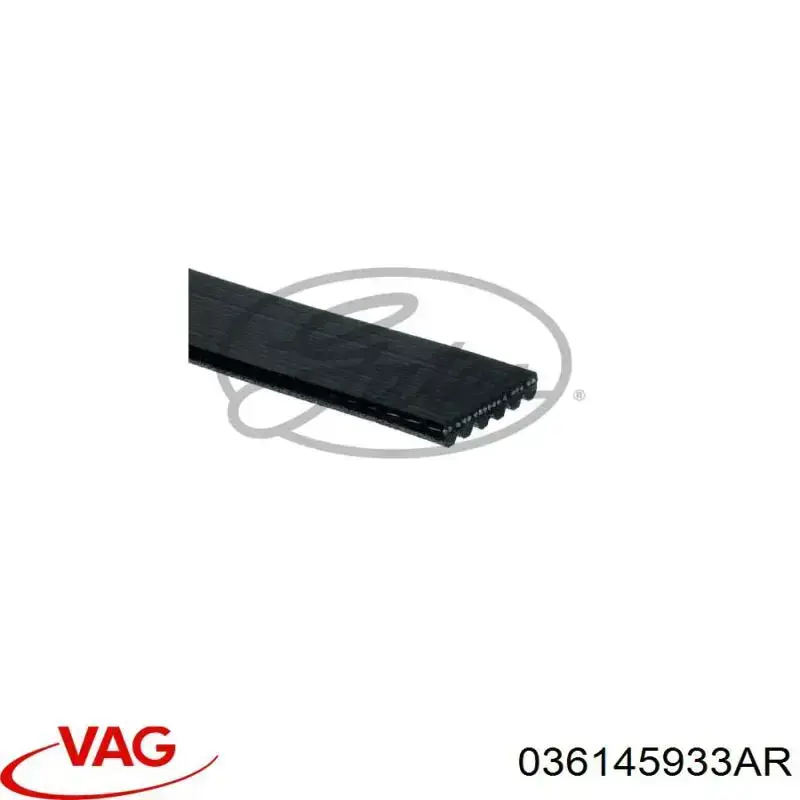 Клиновий ремінь VAG 036145933AR ціна, від 13.73 USD