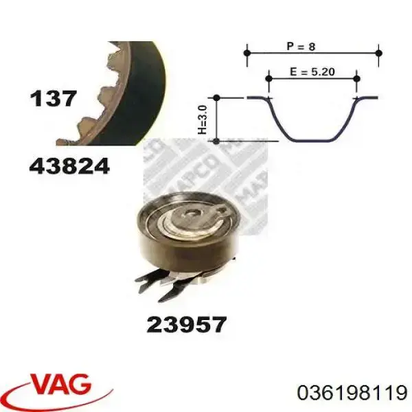 036198119 VAG Ремінь ГРМ, комплект