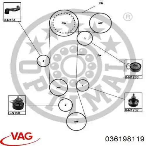 Купити 036198119 VAG ГРМ ремень
