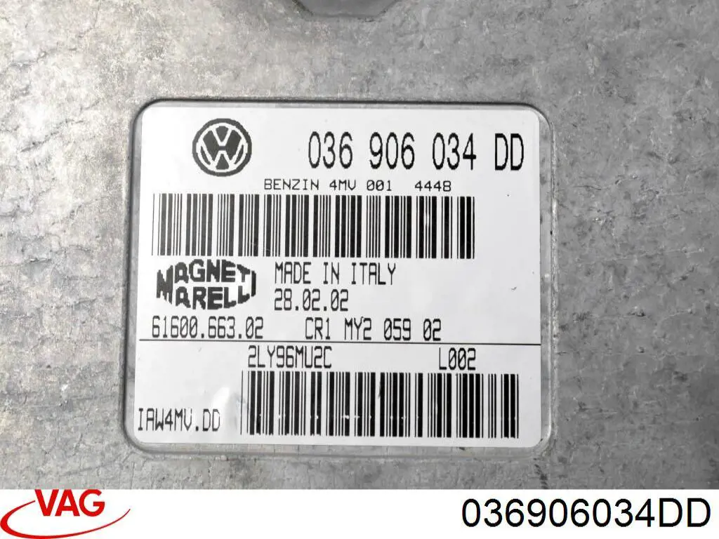 Електронний блок керування двигуном 036906034DD VAG