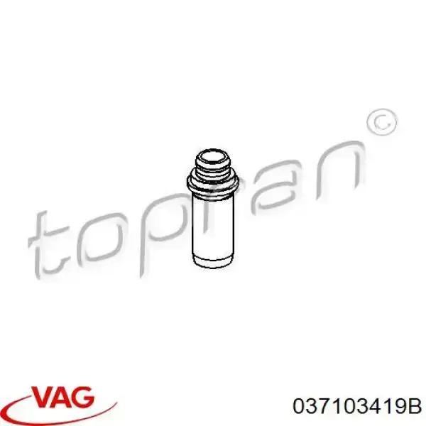 037103419B VAG Напрямна клапана