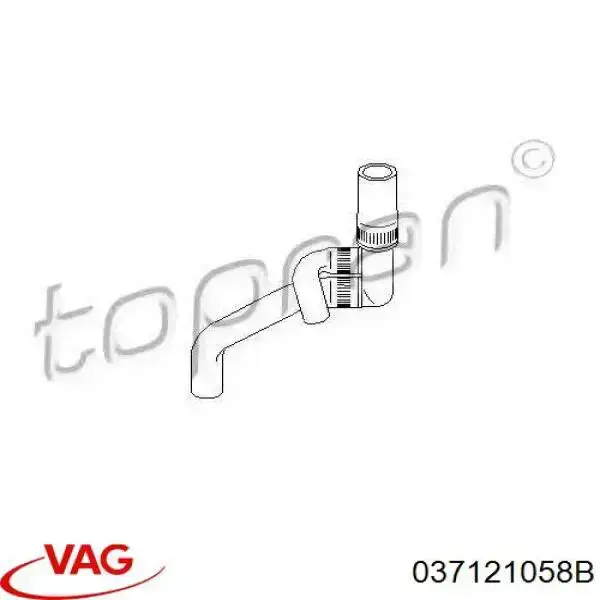 Купити 037121058B VAG Трубопроводи і шланги системи охолодження